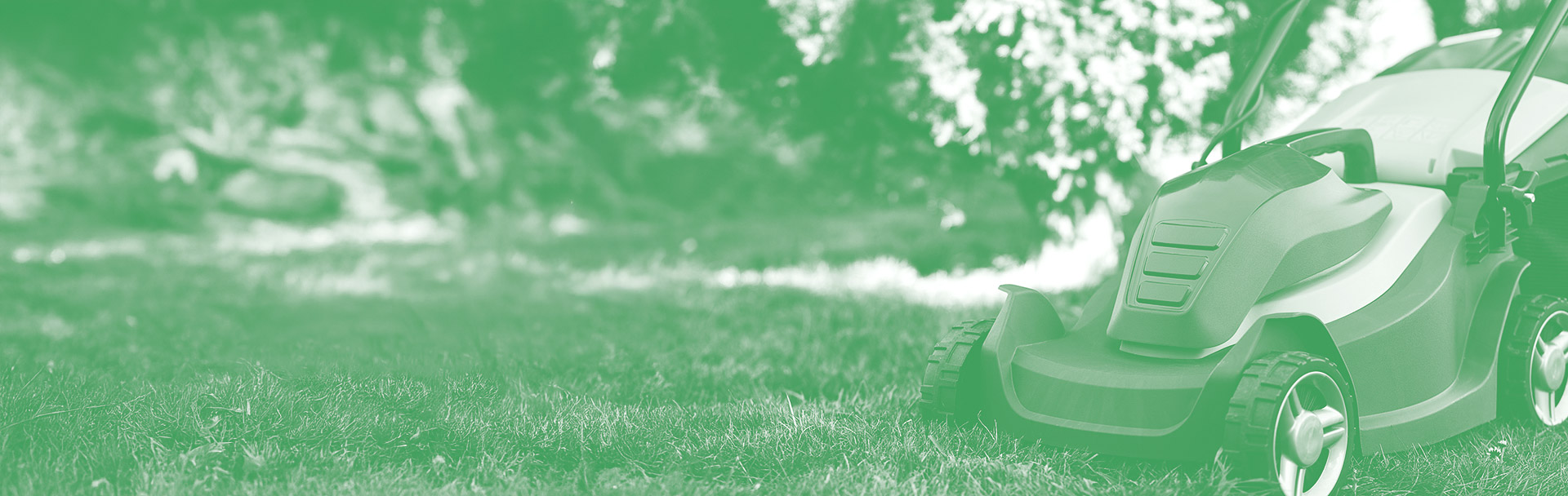 Homepage Banner with Descpritive Box